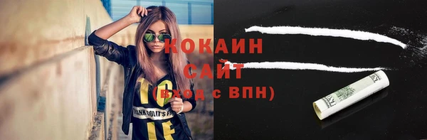 прущие грибы Алексин