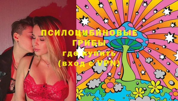прущие грибы Алексин
