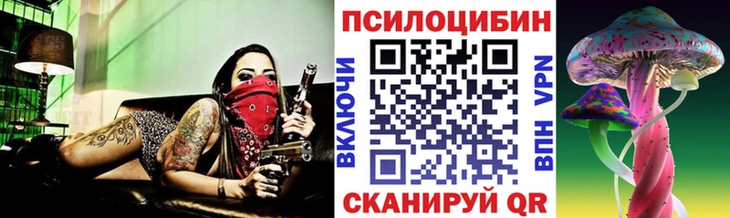 Псилоцибиновые грибы GOLDEN TEACHER Муром