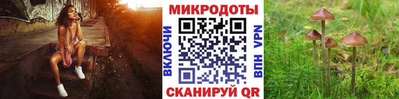 Псилоцибиновые грибы Psilocybe  Муром 